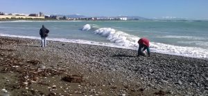 This picture shows people collecting seaweed from the Timaru coast. The waves are big and the sky is blue. Mountains in the far distance have a coating of snow